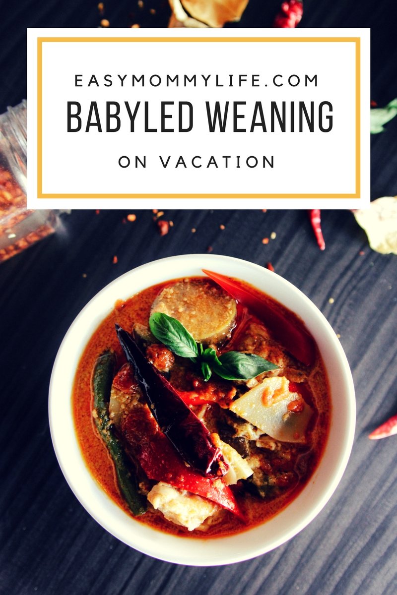 babyled weaning on vacation, bowl of thai soup